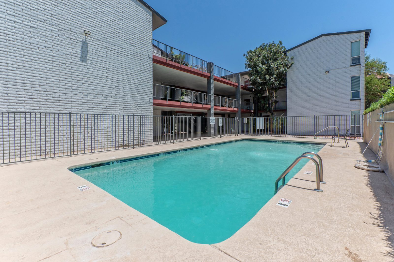 Sparkling pool at Red Sea Grove